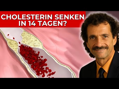 DER stille Killer: Warum dein Cholesterin JETZT dein Herz zerstört! + Lösung l Dr. Urs Hochstrasser