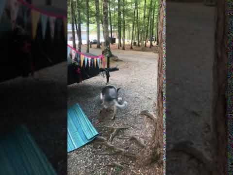 Playing in the campground