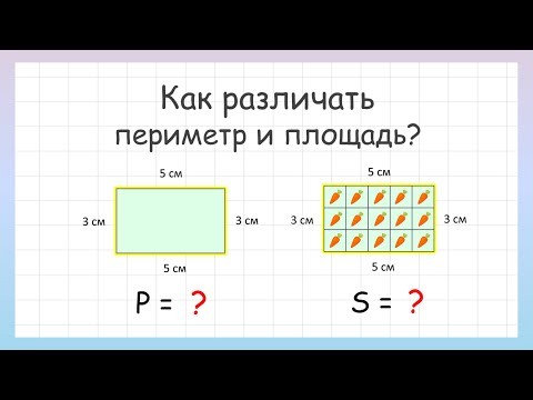 Как различать периметр и площадь?