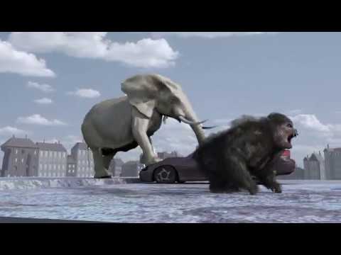 Gorilla and Elephant Scape the Zoo