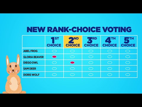 How Does Ranked Choice Voting Work?