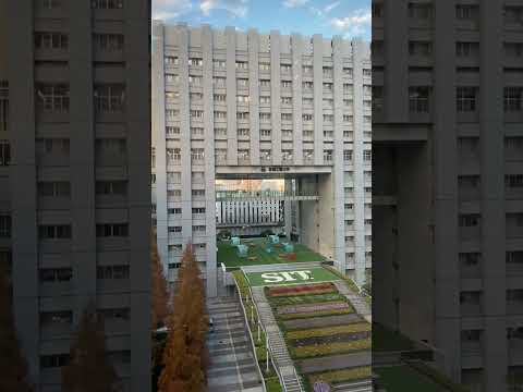 芝浦工業大学豊洲キャンパスの真ん中でマラカス猫？！😸見えますか？👀 #shorts