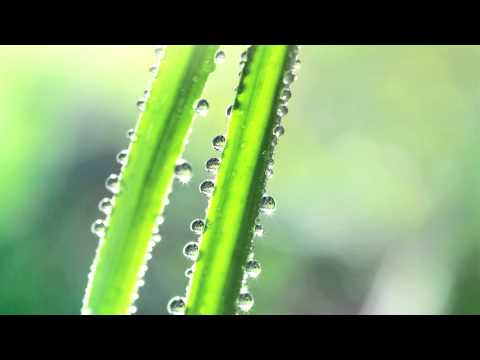 Shinichi Osawa // Sketch For GUCCI