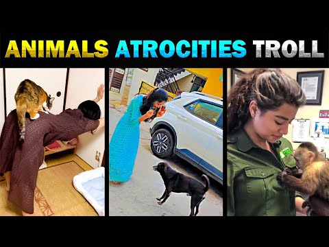 விலங்குகள் செய்த தரமான காமெடி சம்பவங்கள் | ANIMALS ATROCITIES TROLL - TODAY TRENDING