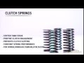 Pro Circuit High Performance Clutch Spring Set