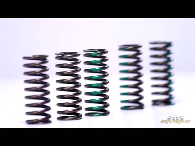 Pro Circuit High Performance Clutch Spring Set 4