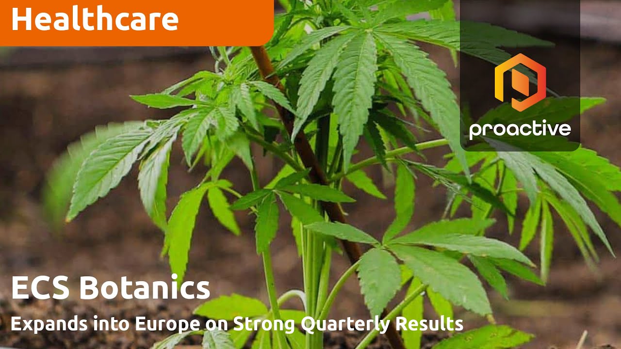 TerpHogz launch: ECS Botanics expands into Europe