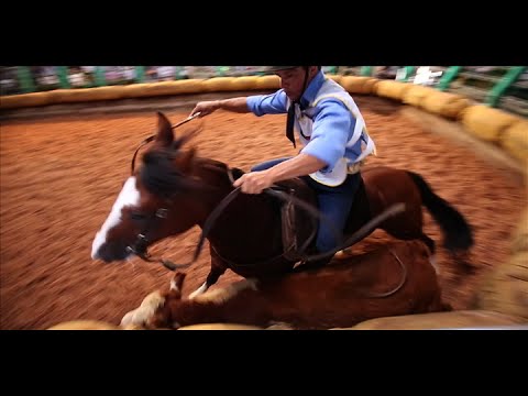 Melhores médias de mangueira! Bocal de Ouro 2016.