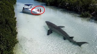 75 of the Most Powerful Animal Moments Ever Caught on Camera