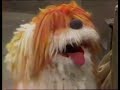 Classic Sesame Street Woof Woof Meets The Residents 1978
