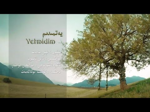 Gülgine Mollaemet - Yetmidim