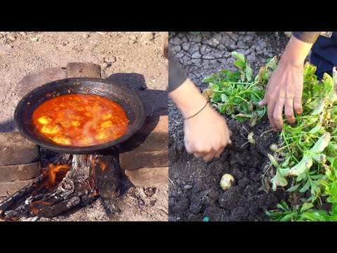 download lagu mp3 mp4 Fresh Indian Food, download lagu Fresh Indian Food gratis, unduh video klip Fresh Indian Food