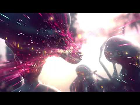 Carter Fox - 'Stampede' Official Music Video