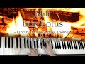 Mili - Iron Lotus [Library Of Ruina Boss Theme] / piano cover by narumi ピアノカバー