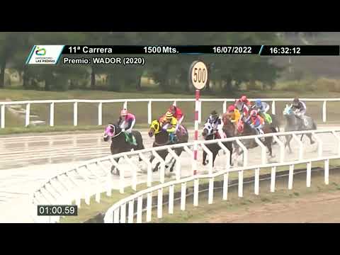 220716 c11 - GAVILAN - HIPODROMO LAS PIEDRAS