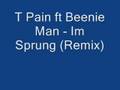T Pain ft Beenie Man - Im Sprung (Remix)