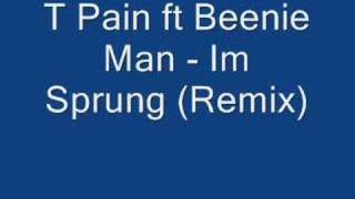 T Pain ft Beenie Man - Im Sprung (Remix)