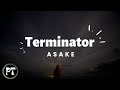 Asake Terminator Official Lyrics Video