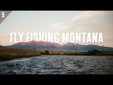Epic Fly Fishing Road Trip through Montana | SHORT BUS DIARIES (Finale)