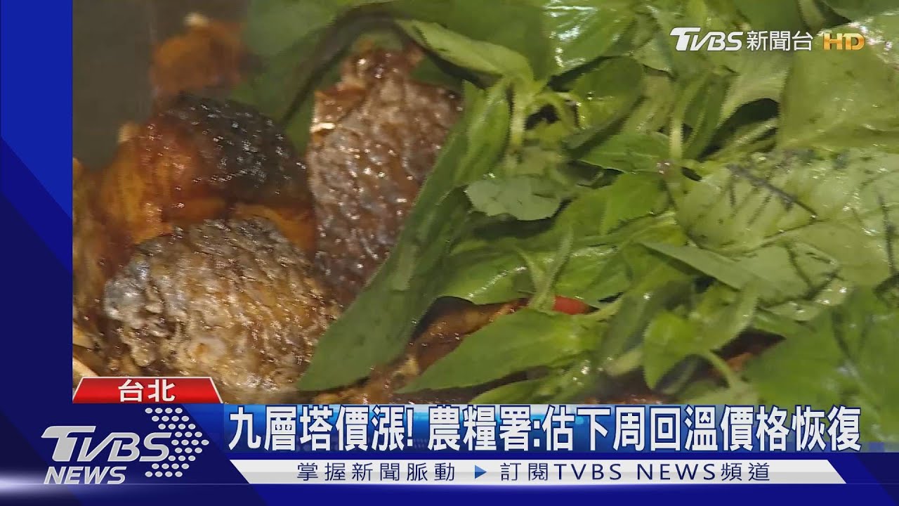 凍壞！九層塔價飆去年4倍　鹽酥雞不放或減量