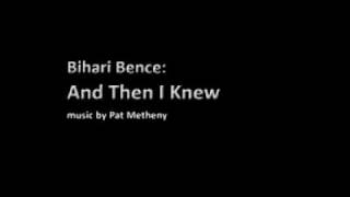 Bihari Bence :  And Then I Knew (song by Pat Metheny)