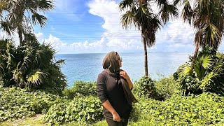 TRAVEL VLOG✨Come to the Everglades to see Crocodiles