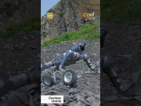 China unveils all-terrain robot that climbs like a goat