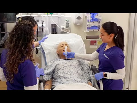Nyu Absn Program
