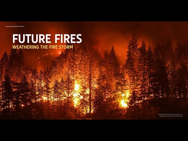 Wildfire Report Agcs