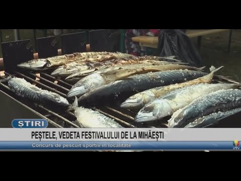 PESTELE, VEDETA FESTIVALULUI DE LA MIHAESTI