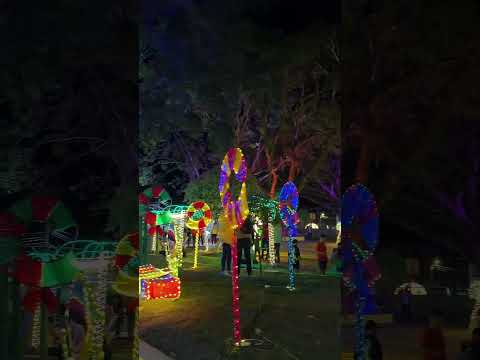 Top 3 alumbrados navideños del Caquetá 2025 #colombia #turismo #elviajeroadn #alumbrado #navidad