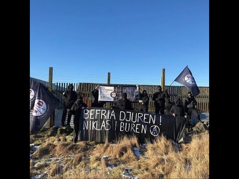 Befria djuren - Stäng minkfarmen i Falkenberg 2021