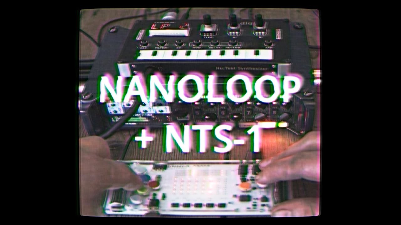 Stand-alone nanoloop hardware! - Page 29 - Other Gear - Elektronauts