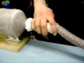Sausage Wmv