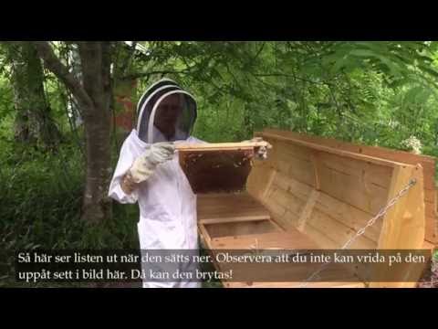 Enkelt och snabbt från avläggare till Topplistekupa!