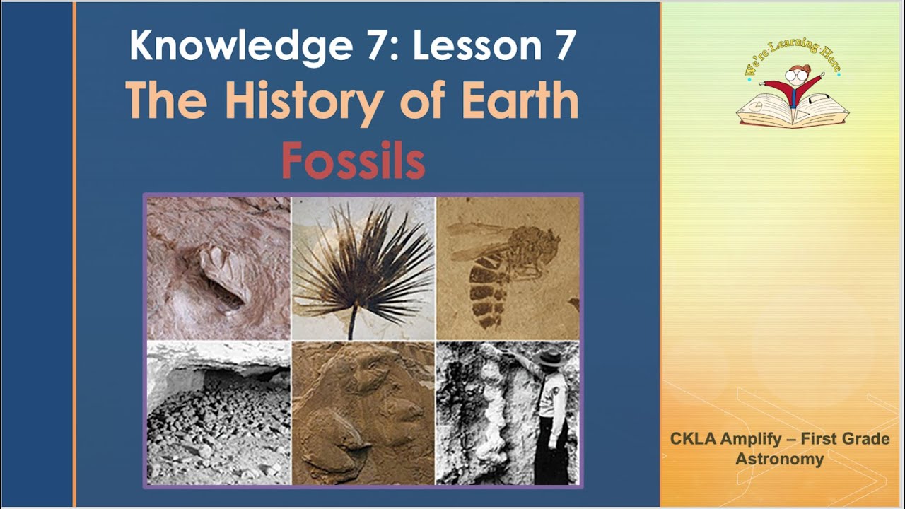 Knowledge 7 Lesson 7 Fossils