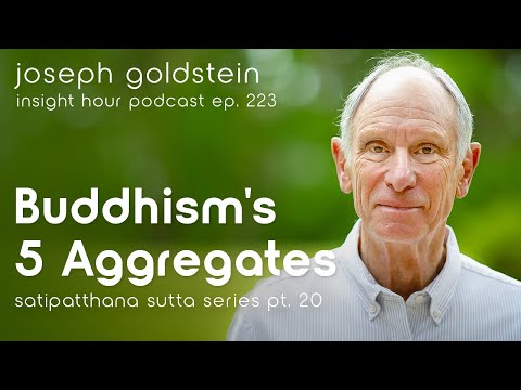 Buddhism's Five Aggregates – Joseph Goldstein' Satipatthana Sutta Series Pt. 20 Insight Hour Ep. 223