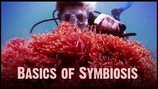 Symbiosis: Mutualism, Commensalism, and Parasitism
