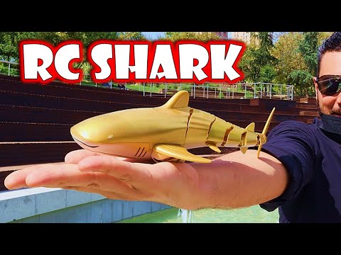 Remote Control SHARK that Actually Swims 🦈