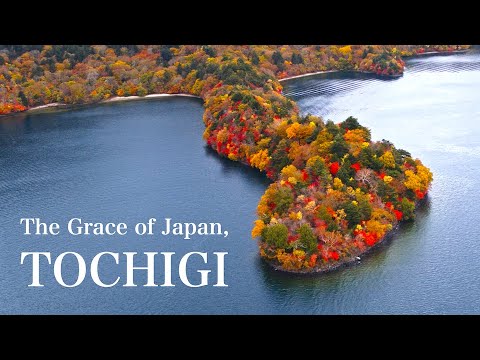 The Plateau of Autumn Leaves  " The Grace of Japan, TOCHIGI "