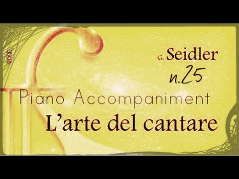 Seidler n.25 - Piano Accompaniment (Play - Along)