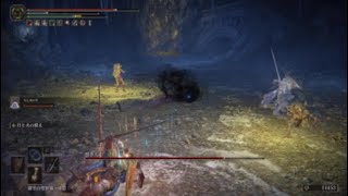 エルデンリングDLC 嘆き人 (嘆きの牢獄)【ELDEN RING SHADOW OF THE ERDTREE】