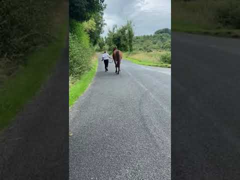 Video 3