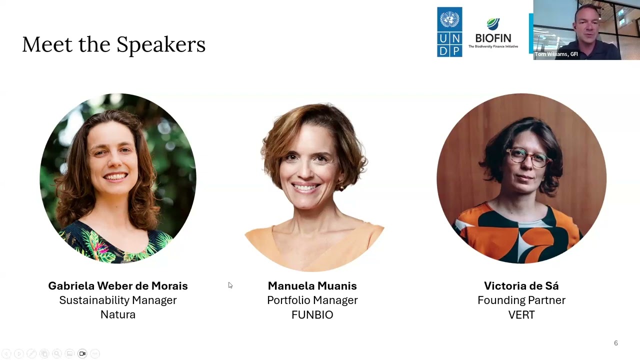 Mobilising Private Sector Capital for Sustainable and Resilient Supply Chains (Spanish translation)