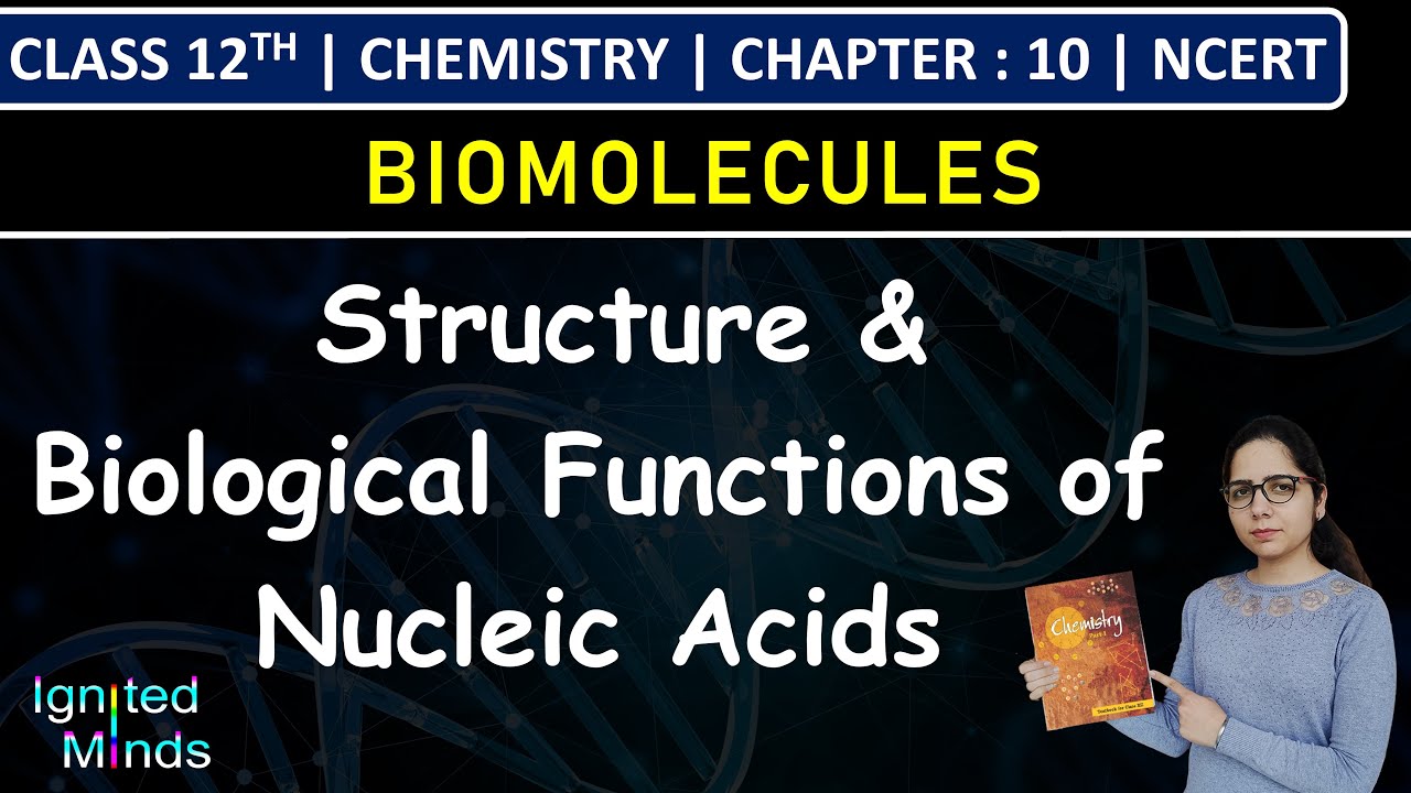 Class 12th Chemistry | Structure & Biological Functions of Nucleic Acids | Chapter 10: Biomolecules