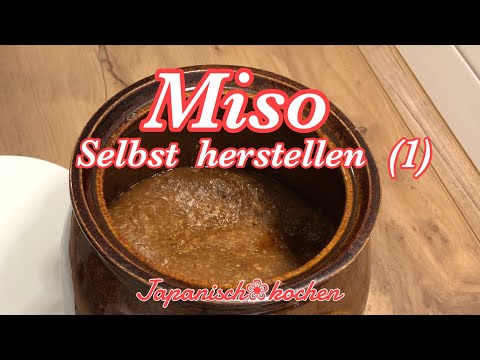 Miso selbst herstellen / Teil 1 本当に美味しい手前味噌(1)