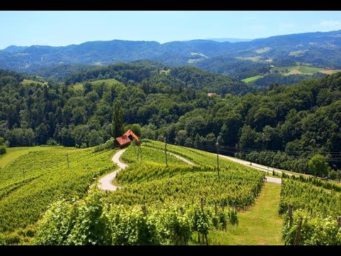 Mladi odmev - Najlepša dežela