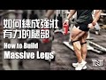 强化大腿 & 臀部 | Build Big Legs & Glutes | Terrence Teo