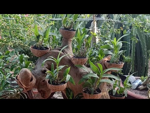 Chia sẻ tiết ngắt điện tháng 06