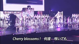 10nen Zakura | AKB48 Yukirin Graduation Concert 16-03-2024